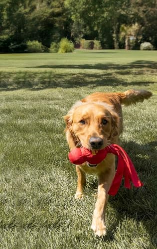 KONG Wubba Extra Large Dog Toy 2 Pack – Durable Interactive Tug & Toss Toy