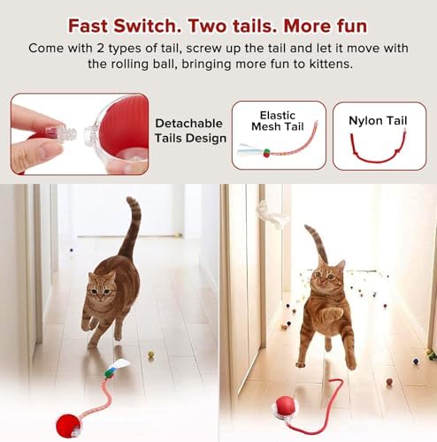 Interactive Cat Toy Ball for Indoor Cats, Motion Activated Cat Ball with 3 Speeds, 2 Replaceable Tails, Safe Material Kitten Toys, USB Charging, 360° Smart Rolling Ball for Bored Adult Cats and Dogs