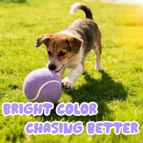 Banfeng Giant Dog Tennis Ball, 9.5" Big Sport Toy Gift for Large Breeds
