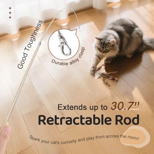 SONGWAY Interactive Cat Feather Toys - Cat Wand Toy Set with Retractable Teaser Wand and 6 PCS Natural Feather Refills, Da Bird Cat Toys for Indoor Cats Kittens