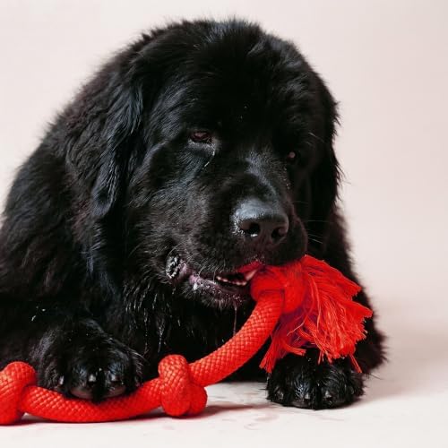 Playology Tug Rope Dog Toys for Large Breed Dogs - Mega Size, Beef Scent
