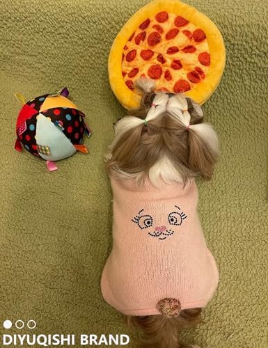 Pizza Shaped Plush Puppy Chew Toy, Built-in Squeaker
