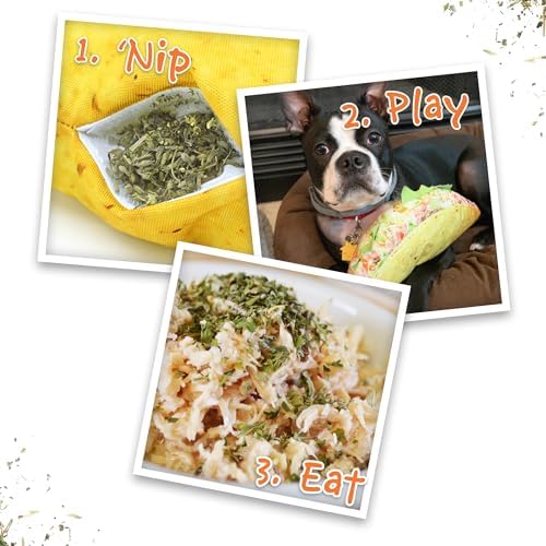 Doggijuana Taco & Juananip Bundle | Squeaky Refillable Plush Toy