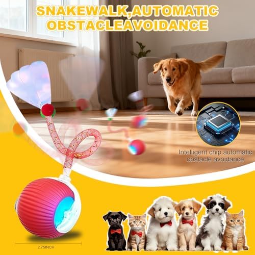 2-Pack Interactive Cat Toys Ball