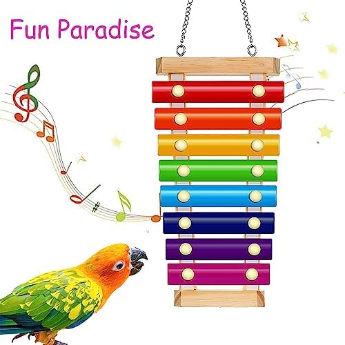Colorful Bird Xylophone Toy Interactive Training Toy Bird Cage Bell Toy Accessories Music Musical Enrichment Bells for Conure Budgie Cockatiel African Grey Parakeet Finch Parrot Love Birds