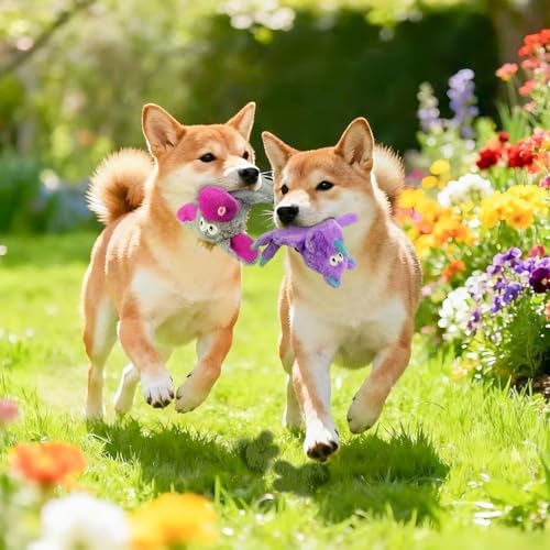5 Pack No Stuffing Dog Toys Plush for Small Dogs