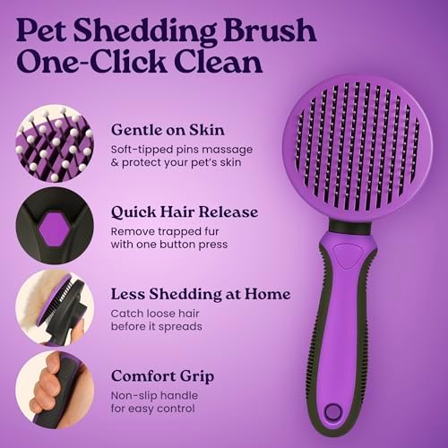 gameOFF Cat Grooming Kit 6 in 1, Include: Nail Clipper, Brush for Shedding, Wand Toy, Interactive Ball Toy, Bath Brush, Ear Cleaner Finger Wipes (30ct.), Cat Grooming Supplies, Kitten Supplies