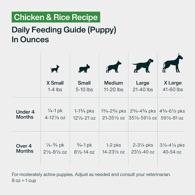 JustFoodForDogs Pantry Fresh Wet Dog Food, Complete Meal or Dog Food Topper, Chicken & White Rice Human Grade Dog Food Recipe - 12.5 oz (Pack of 12) | Fresh Pet Meal or Fresh Dog Food Topper, Human Grade Recipe Made With Whole Foods, Preservative-Free,...