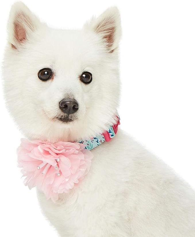 Blueberry Pet Floral Power Lily of The Valley Designer Teal Green Adjustable Dog Collar with Detachable Pink Peony, Medium, Neck 14.5"-20"