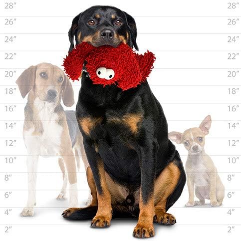 MIGHTY® 2 Pack Microfiber Medium Lobster Dog Toys