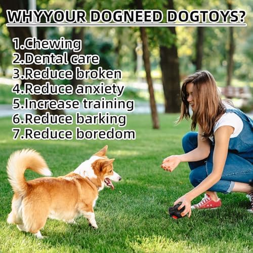 Indestructible Dog Chew Toys for Aggressive Chewers - Durable, Heavy Duty Toys for Large Dogs (Black)