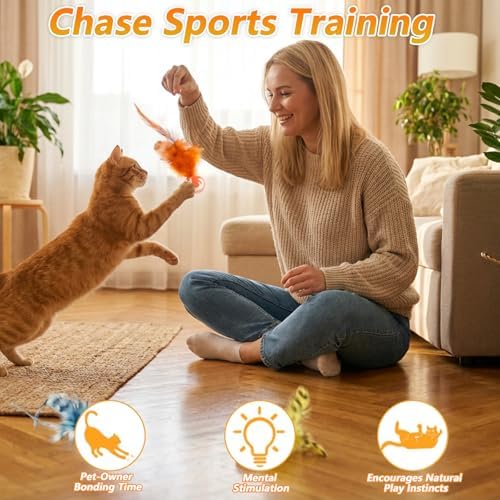 5 Pcs Feather Cat Toy, Cat Toy Balls with Natural Feathers, Interactive Indoor Cats Toys for Playful Kittens, Feather Bouncy Balls for Cats