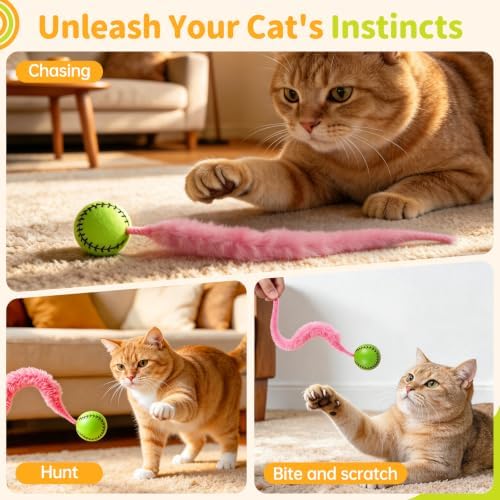 SHENGSEN Bouncy Ball with Tail Cat Toys 5 Packs