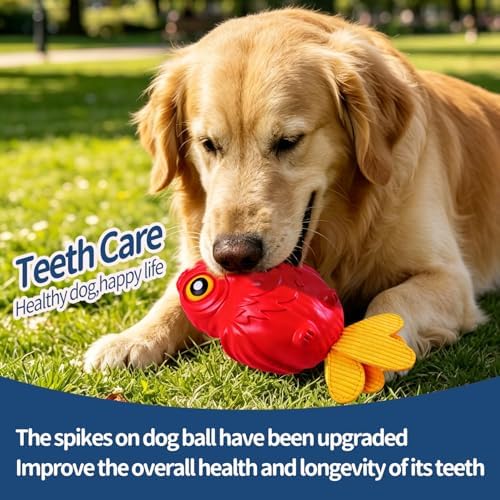 Dog Squeaky Chew Toys for Aggressive Chewers, Interactive Dog Toys for Medium and Large Dogs, Heavy Duty Relieves Anxiety, Cleans Teeth Outdoor Waterproof (Red)