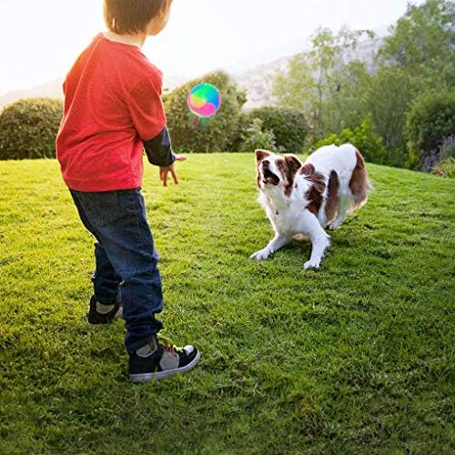 4 pcs Large Light Up Dog Balls Flashing Elastic Ball Glow in The Dark Interactive Pet Toys for for Golden Retriever,Labrador,Large Dogs