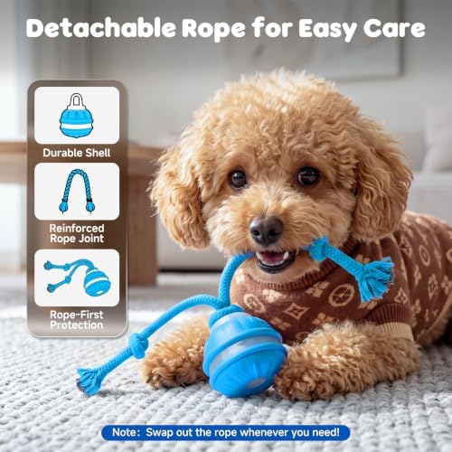Interactive Small Dog Toys Ball, Smart Automatic Moving Rolling Dogs Toy