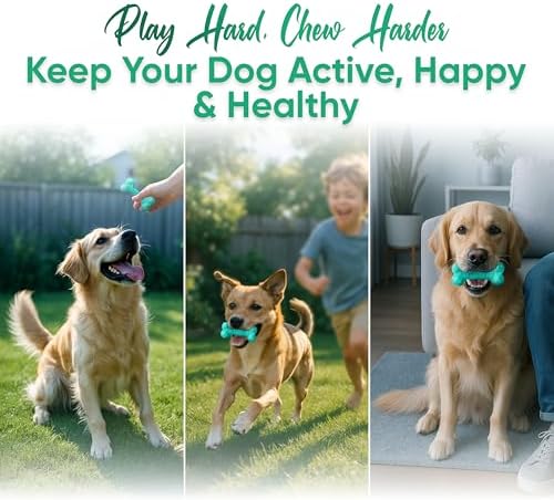 Natural Rubber Dog Toys for Small Dogs & Puppies - Durable Dental Dog Bone Toy for Indoor & Outdoor Play - Interactive Tough Teething Toy for Boredom Relief - For 25 lbs Small Dogs (Turquoise)