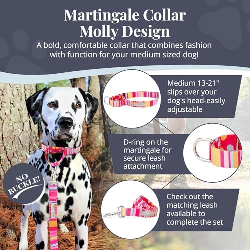 Lucky Love Dog Martingale Collar for Medium Dogs No Slip – Molly, Medium