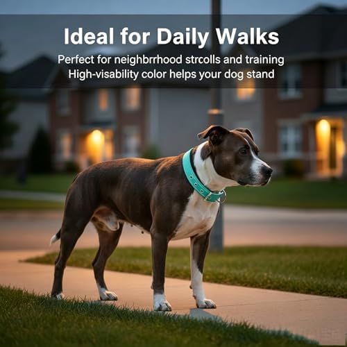 Reflective Dog Collar for Medium Dogs Wide Padding 6 Holes Adjusta