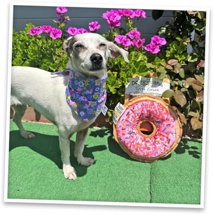 Doggijuana Pink Donut & Juananip Bundle | Squeaky Refillable Plush Toy