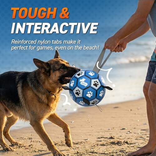 QDAN Extra Large Dog Toy Soccer Ball, Durable Dog Balls with Straps, 9 Inch
