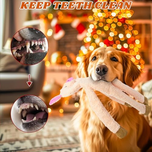 3 Pack No Stuffing Crinkle Squeaky Plush Dog Toy