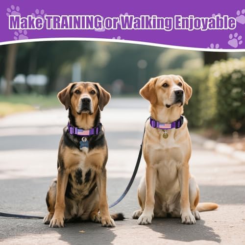 Martingale Dog Collar Reflective NO Pull with USA Flag, L,Purple