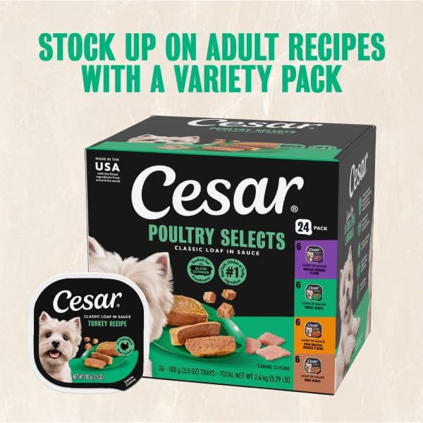 Cesar Classic Loaf in Sauce Wet Dog Food, Poultry Selects, 3.5 oz, 24 Count | Made in USA, Duck, Chicken & Turkey recipes, real poultry #1 ingredient, no fillers or artificial flavors, easy peel trays