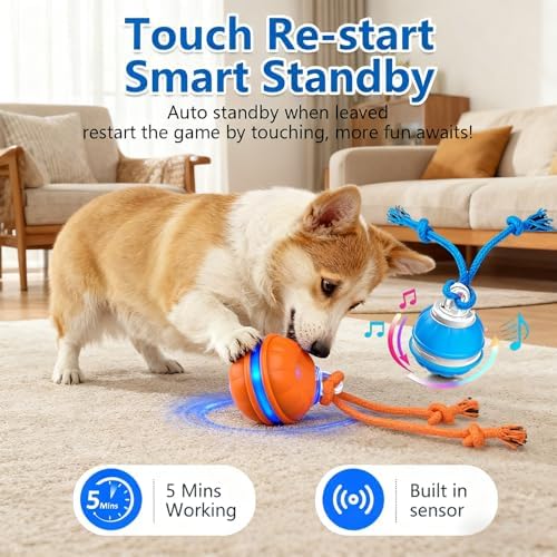 Interactive Dog Ball Toy for Small Dogs, Motion Activated Rolling Ball