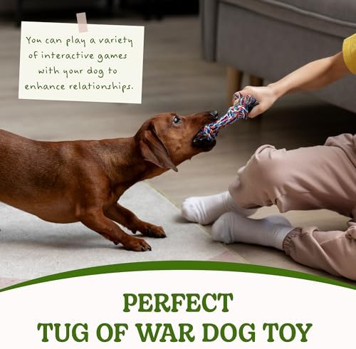 2 Pack Dog Rope Toy for Small Dogs, Durable Cotton Puppy Teething Toys