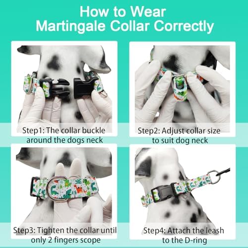 Martingale Dog Collars with Buckle No Pull Training Dog Collar for Large Dogs (Green Dinosaur, Large)