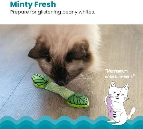 Catstages Fresh Breath Mint Stick Cat Toy, Dental Chew with Catmint, 5"