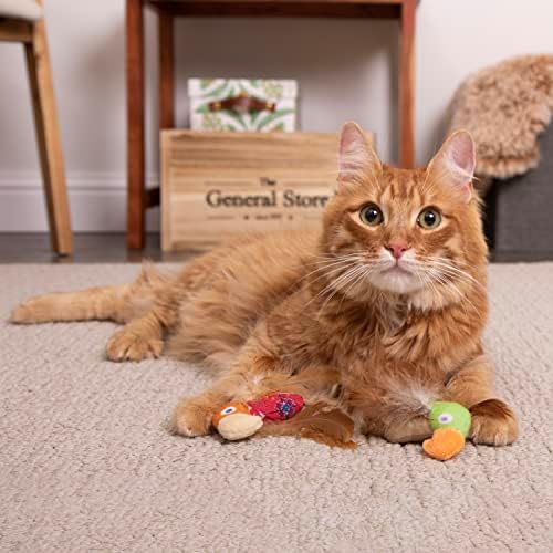Instincts by SmartyKat 2-Pack HappyNip Love Mates Feather Birds Plush Cat Toys, Contains Catnip & Silvervine - Orange/Green, 2-Pack
