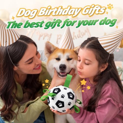 Diman Interactive Dog Toys, Dog Soccer Ball with 2 Bouncing Modes