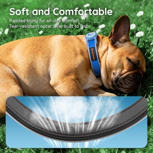 Heavy Duty Dog Collar with Silicone AirTag Holder, Waterproof & Reflective Padded Pet Collar for Night Walking, Hotpink Plaid Oxford Cloth, Adjustable Buckle (Blue L)