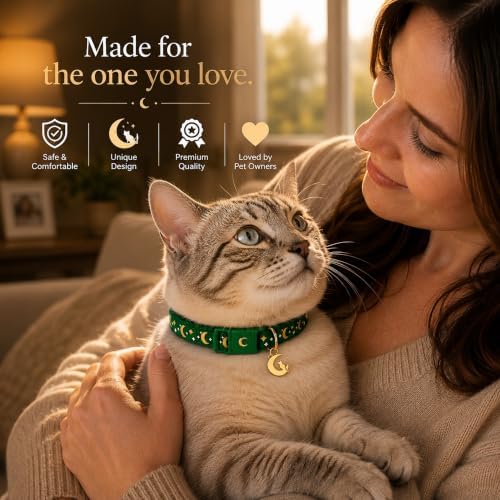 Breakaway Cat Collar with Bell for Kittens & Cats