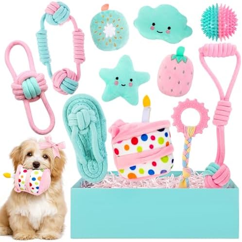 RoundFunny 11 Pcs Dog Birthday Toy Gift for Dog Birthday Cake Puppy Girl Boy Squeak Toys Interactive Puppy Gift with Box for Small Medium Size(Stylish,Mixed Color)