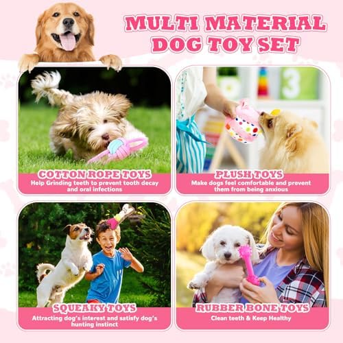 RoundFunny 11 Pcs Dog Birthday Toy Gift for Dog Birthday Cake Puppy Girl Boy Squeak Toys Interactive Puppy Gift with Box for Small Medium Size(Classic,Pink)