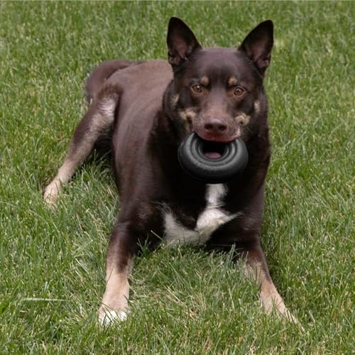 KONG Extreme Donut, Durable Natural Rubber Chew Toy, for Large/X-Large Dogs
