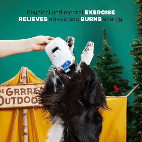 BarkBox Hairstream Trailer Dog Toy - Fun for Dogs