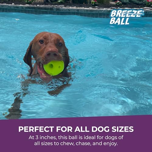 Multipet Breeze Balls for Dog - Bevel Tech Interactive Dog Toy w/Holes for Breathing - Flotable Ball for Dogs - Pet Toy for Chewing & Playing (1 Count, 3”, Random Color Surprise)