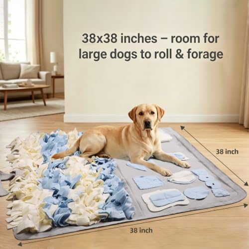 Snuffle Mat for Dogs: Slow Food Interactive Experience