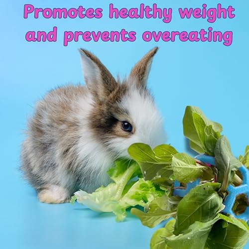 Rabbit Treat Ball Bunny Enrichment Toys with Stainless Steel Hanger Set, Veggie Feeding Rabbit Ball Toy for Bunny Squirrel Hedgehog Tortoise Guinea Pig Rabbits, Pets Treat Balls Accessories (Blue)