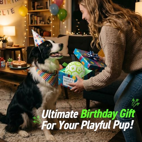 QDAN Glow in The Dark Dog Toys Soccer Ball with Straps, Outdoor Interactive Dog Toys Puppy Birthday Gifts, Dog Tug Water Toy, Light Up Dog Balls for Small & Medium Dogs（6 Inch Size 2） | Light Up Dog Balls for Small & Medium Dogs, 20-40 lbs Dogs Balls, ...