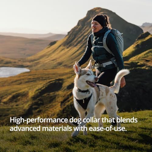 Ruffwear, Ridgeline Dog Collar, Magnetic Buckle, Obsidian Black, 20"-26"
