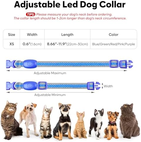Flashseen LED Dog Collar, Light Up Dog Collar USB Rechargeable, Blue, XS