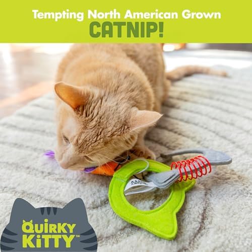 Quirky Kitty Kitty Connects Interactive Cat Toy With Felt Rings And Catnip Dragonfly