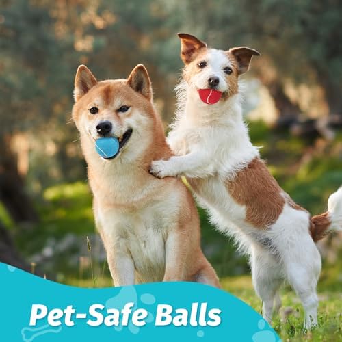 PrimePets Tennis Balls for Dogs, 12 Pack 2.5” Durable Squeaky Dog Balls with High Bounce for Outdoor Play, Interactive Fetch & Training Dog Toys for Small and Medium Breeds