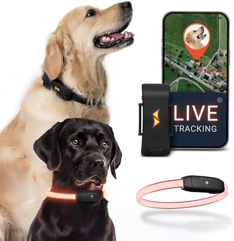 4G Dog GPS Tracker with Real-Time Location, Runaway Alerts, Activity Monitoring App, Waterproof Design & Rechargeable LED Dog Collar with 7 Color Modes, 27-Month Subscription Included – Black Bundle