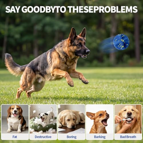 Interactive Dog Ball 2 Packs, Pet Toys Balls Bouncing Toy for Small Medium Large Dogs, Solid E-TPU, Active Rolling Puppy Toy for Exercise and Boredom Relief（Yellow + Blue）